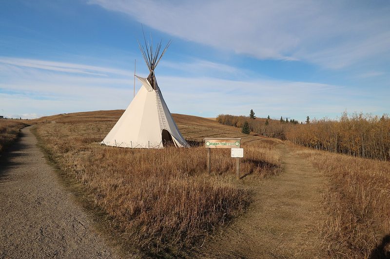 A white tipi beside a path in the grassland at Ann & Sandy Cross Conservation Area
